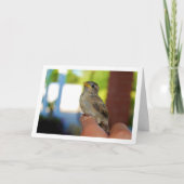 Mus op vinger kaart (Voorkant)