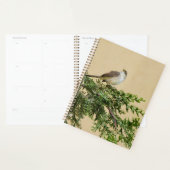 Mus planner (Display)