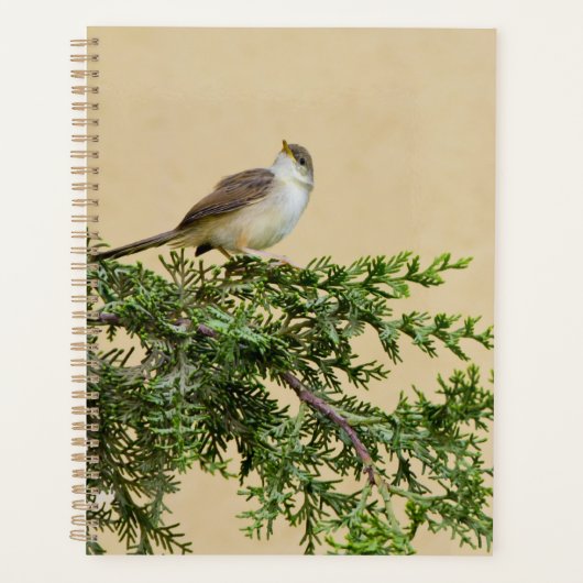 Mus planner (Voorkant)
