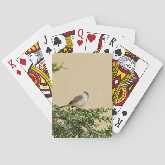 Mus Pokerkaarten (Achterkant)