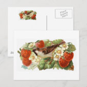 Mus & Rode Aardbeien - Vintage Illustratie Briefkaart (Voorkant / Achterkant)