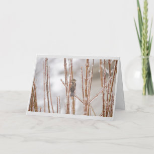 Mus van de Vogel van Kerstmis de Dierlijke op een Feestdagen Kaart