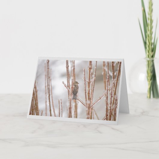 Mus van de Vogel van Kerstmis de Dierlijke op een Feestdagen Kaart (Voorkant)