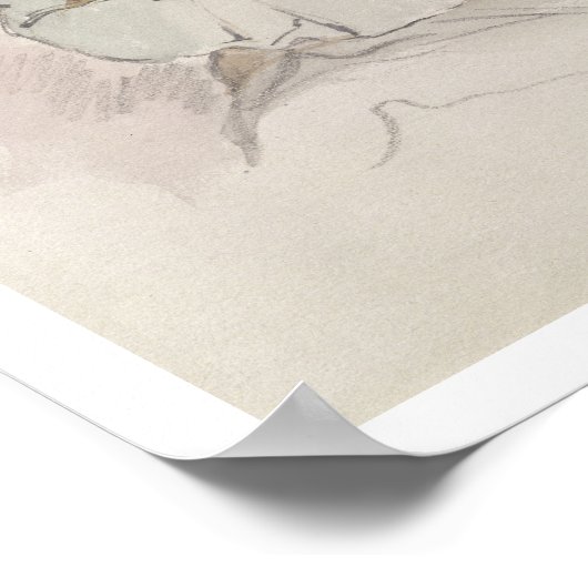 Musa - uit Kashgar, c.1855 Poster (Hoek)