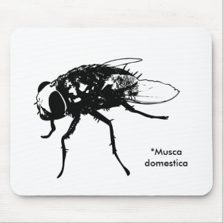 Musca domestica mousepad muismat