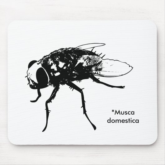 Musca domestica mousepad muismat (Voorkant)