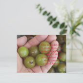 Muscadine uit de tuin van het Huis - Briefkaart (Staand voorkant)