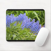 Muscari/druivenhyacinde Muismat (Met muis)