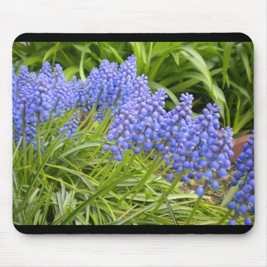 Muscari/druivenhyacinde Muismat (Voorkant)