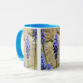 Muscari Grape Hyacinth Mok (Voorkant links)