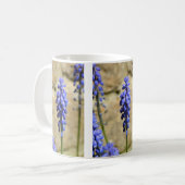 Muscari Grape Hyacinth Mok (Voorkant links)