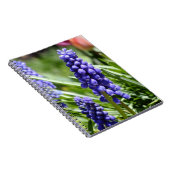 Muscari (Grape Hyacinth) notitieboek (Rechterzijde)