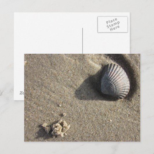 Muschel Briefkaart (Voorkant / Achterkant)