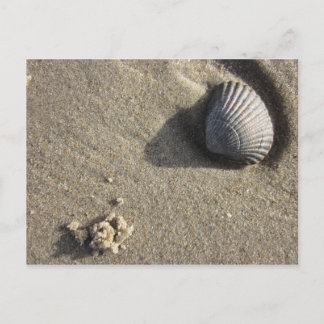 Muschel Briefkaart