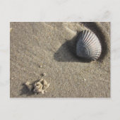Muschel Briefkaart (Voorkant)