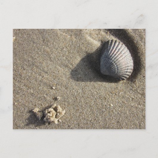 Muschel Briefkaart (Voorkant)