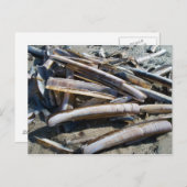 Muscheln Briefkaart (Voorkant / Achterkant)