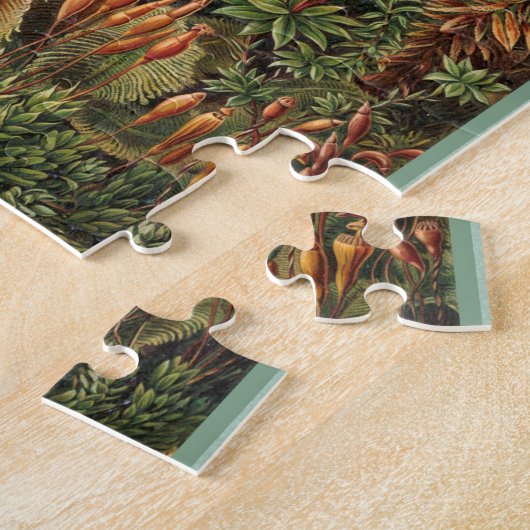 Muscinae - Ernst Haeckel 8x10 Legpuzzel (Zijkant)