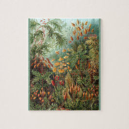 Muscinae - Ernst Haeckel 8x10 Legpuzzel