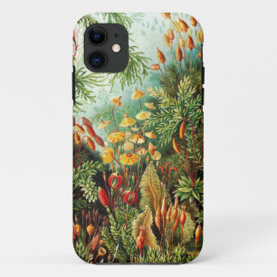Muscinae illustratie van Ernst Haeckel Case-Mate iPhone Case