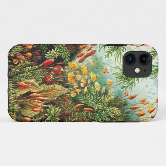 Muscinae illustratie van Ernst Haeckel Case-Mate iPhone Case (Achterkant (horizontaal))