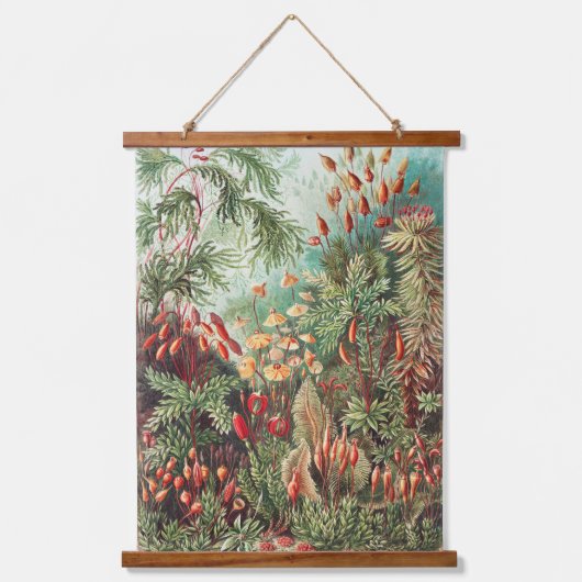 Muscinae-Laubmoose / A. Giltsch, gem van Kunstfor Hangend Wandkleed (Voorkant)