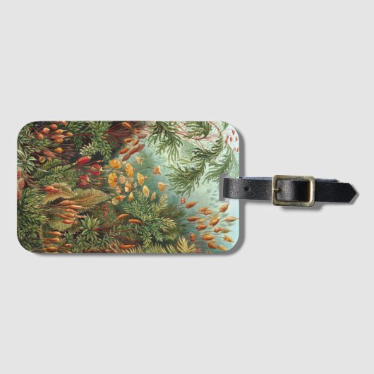  Muscinae, Mos Planten door Ernst Haeckel Bagagelabel (Voorkant (horizontaal))