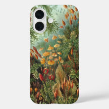  Muscinae, Mos Planten door Ernst Haeckel