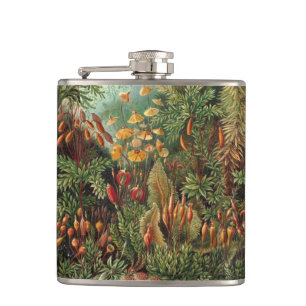  Muscinae, Mos Planten door Ernst Haeckel Heupfles