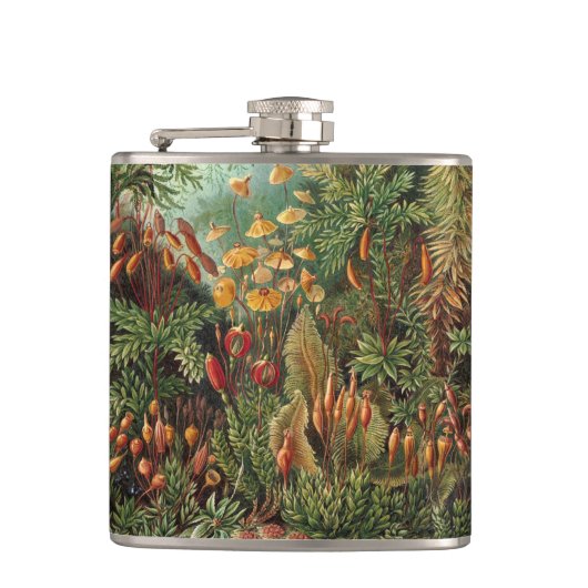  Muscinae, Mos Planten door Ernst Haeckel Heupfles (Voorkant)