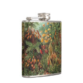  Muscinae, Mos Planten door Ernst Haeckel Heupfles (Rechts)