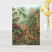  Muscinae, Mos Planten door Ernst Haeckel Kaart (Gele Bloem)