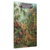  Muscinae, Mos Planten door Ernst Haeckel Klembord (Rechts)