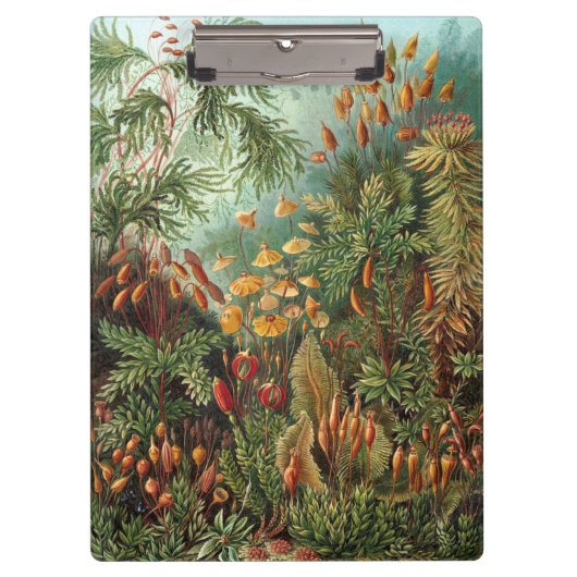  Muscinae, Mos Planten door Ernst Haeckel Klembord (Voorkant)