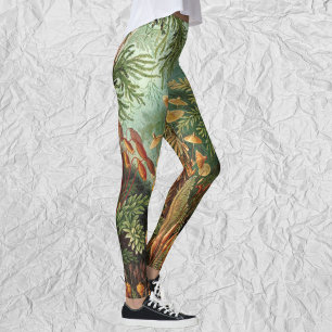 Muscinae, Mos Planten door Ernst Haeckel Leggings