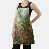  Muscinae, Mos Planten door Ernst Haeckel Schort (Insitu)