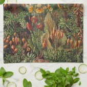 Muscinae, Mos Planten door Ernst Haeckel Theedoek (Gevouwen)