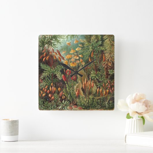 Muscinae, Mos Planten door Ernst Haeckel Vierkante Klok (Huis)