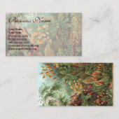 Muscinae, Mos Planten door Ernst Haeckel Visitekaartje (Voorkant / Achterkant)