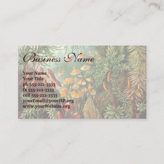 Muscinae, Mos Planten door Ernst Haeckel Visitekaartje (Voorkant)