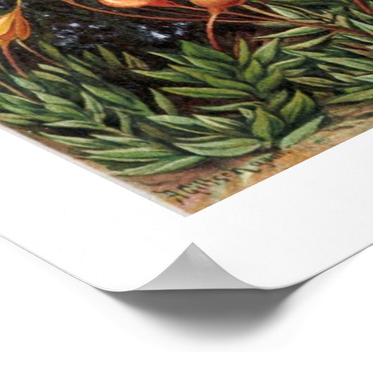 Muscinae Poster (Hoek)