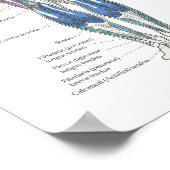 Muscle Anatomy Posterior Anterior Poster (Hoek)