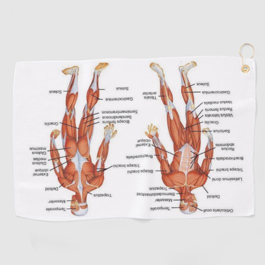 Muscle Diagram medgifts101 Golfhanddoek (Horizontaal)