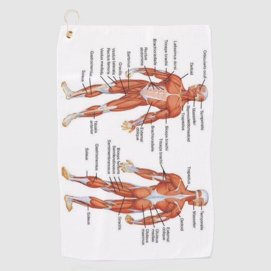 Muscle Diagram medgifts101 Golfhanddoek (Voorkant)