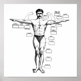 Muscleman uit 1905 Poster