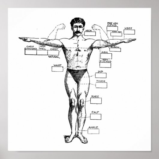  Muscleman uit 1905 Poster (Voorkant)