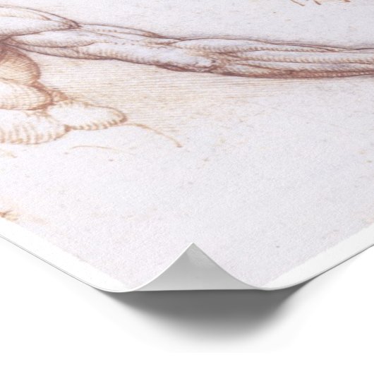 Muscles des Back, Leonardo da Vinci Poster (Hoek)