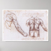 Muscles des Back, Leonardo da Vinci Poster (Voorkant)