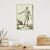 Muscles, Human Anatomy beroemd gemaakt door Denis Poster (Keuken)