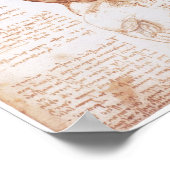 Muscles of the Torso, Leonarod da Vinci Poster (Hoek)